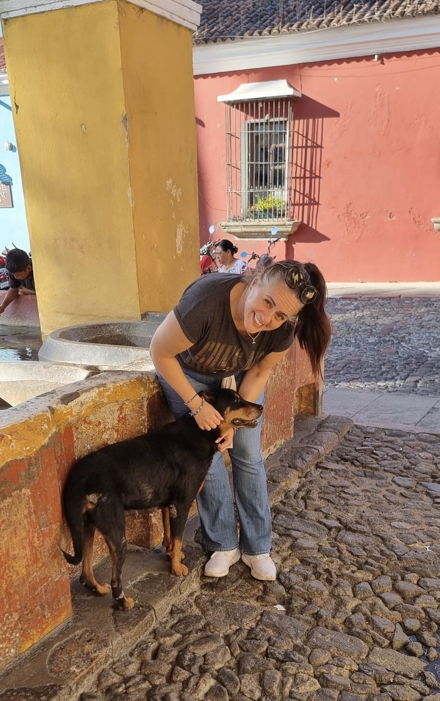 dog training, dog behaviour