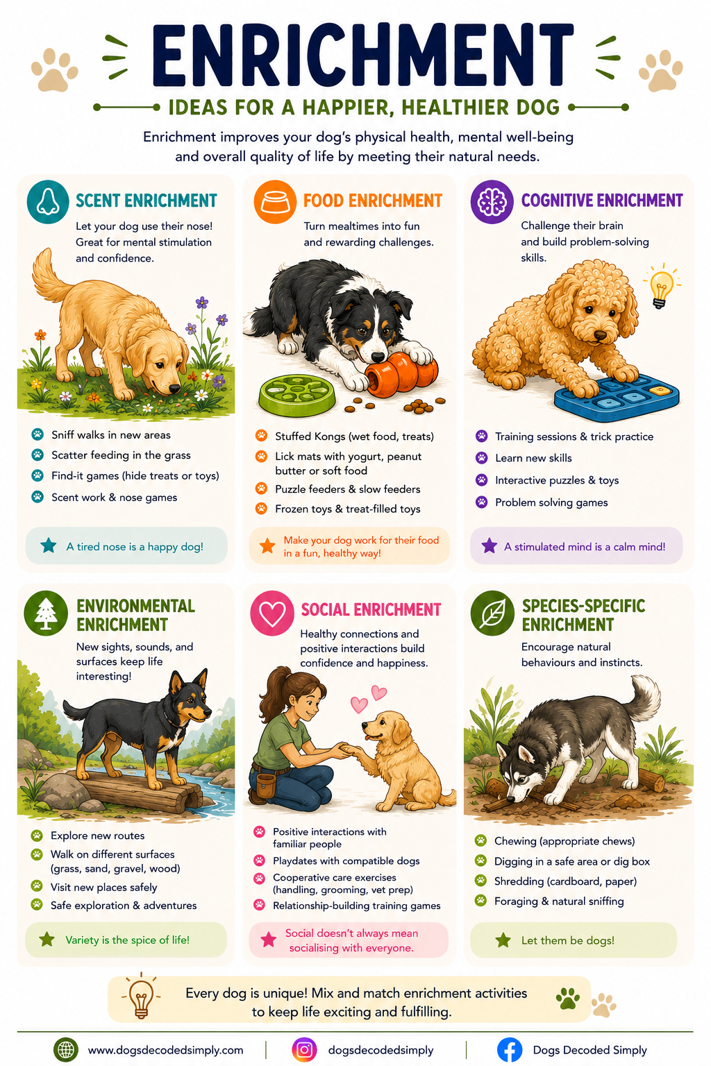 Infographic titled “Enrichment” showing dog enrichment types with illustrated dogs and activity lists.